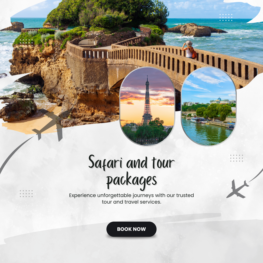 safari and tour packages