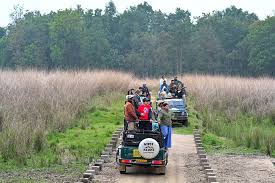 Pench National Park Safari Booking