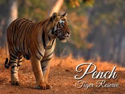 Pench Tiger Reserve